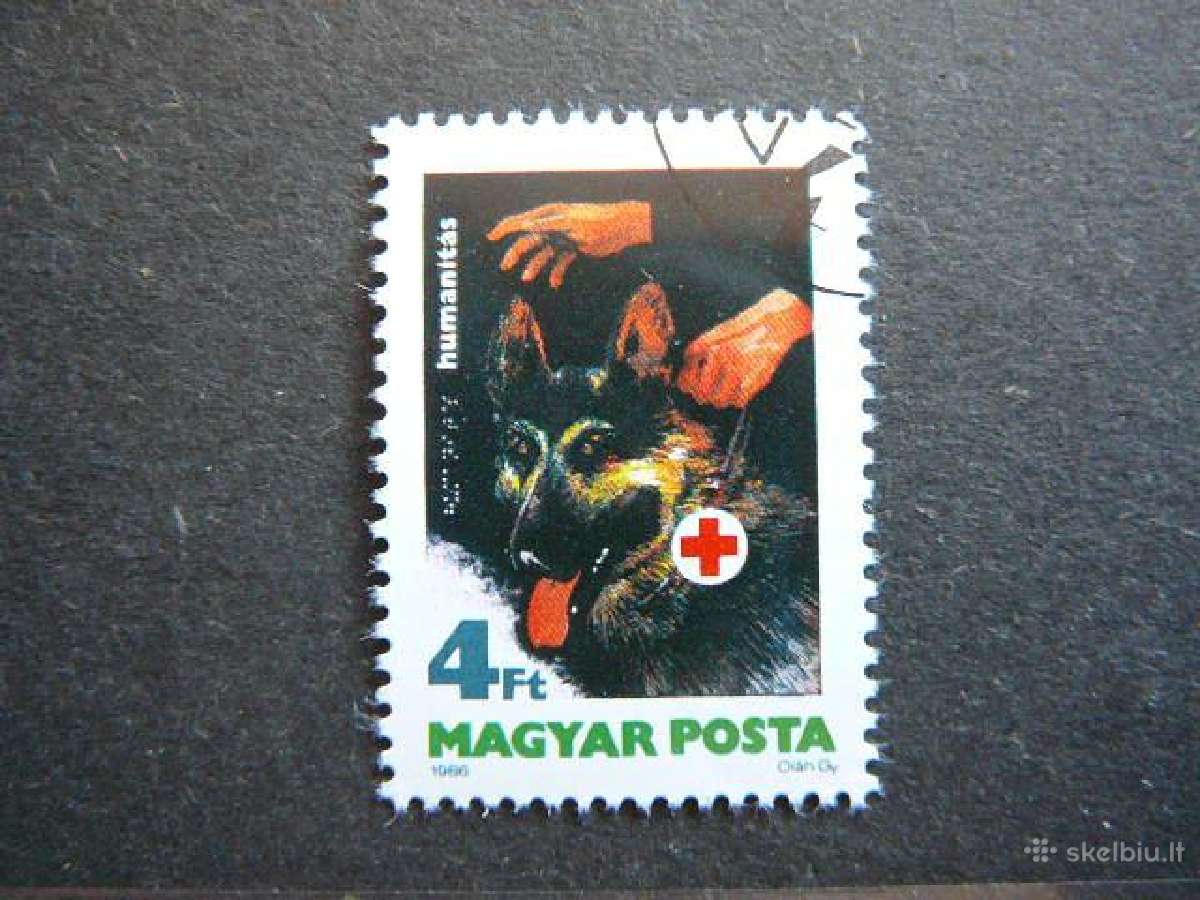 Sunys Raudonas Kryzius Vengrija antsp. alb439
