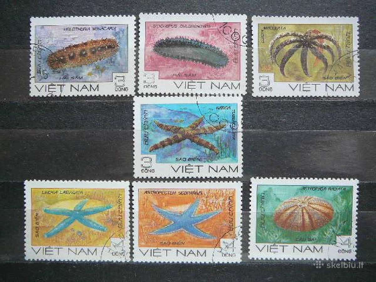 Juros fauna Zvaigzdes Vietnamas antsp. alb444
