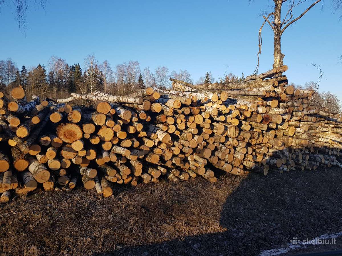 Malkos rąsteliais po 3 metrus, eglės rąstai po 6m - nuotraukos Nr. 8