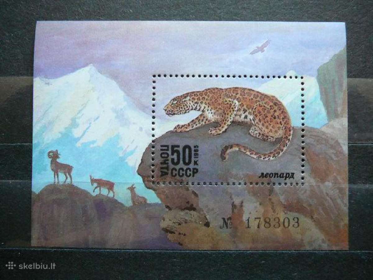Kates laukines Gamta Ssr 1985 Mnh s5542