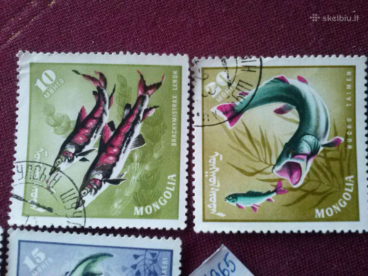 Mangolija.1965m. - nuotraukos Nr. 3
