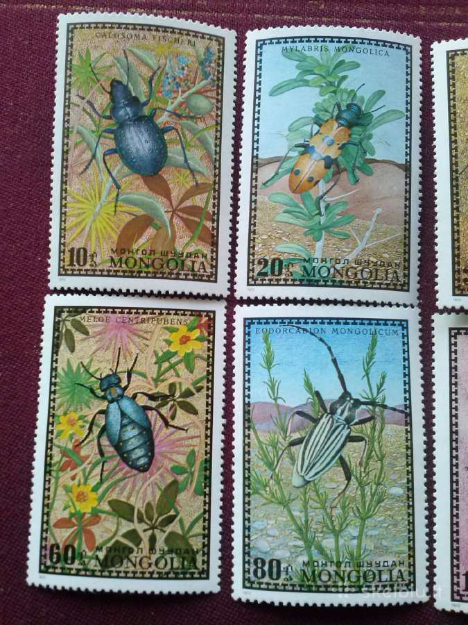 Mangolija.1972m. - nuotraukos Nr. 2