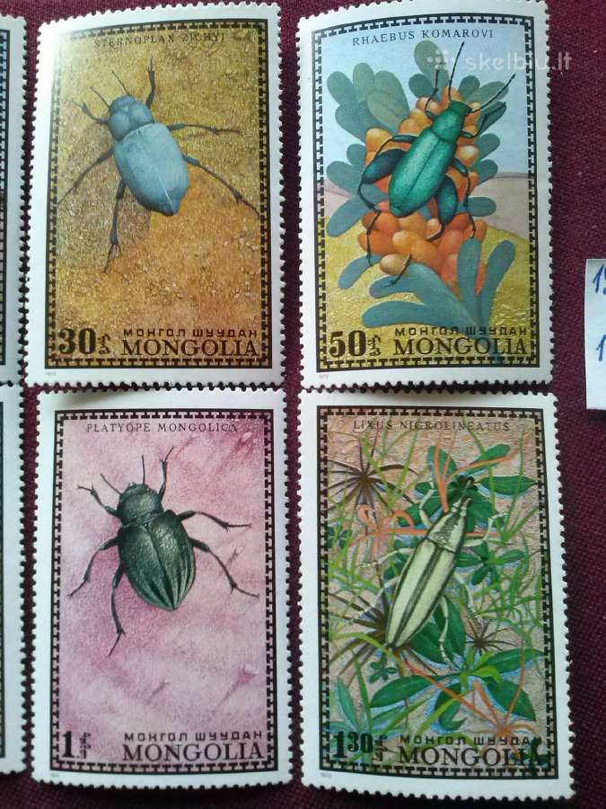Mangolija.1972m. - nuotraukos Nr. 3