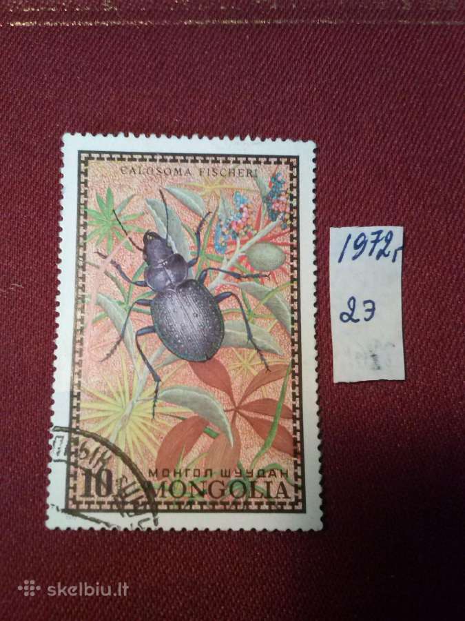 Mangolija.1972m.