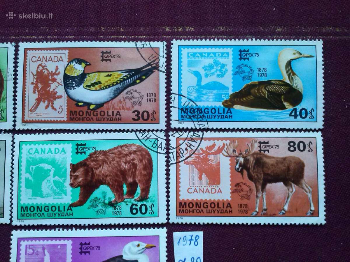 Mangolija.1978m. - nuotraukos Nr. 4