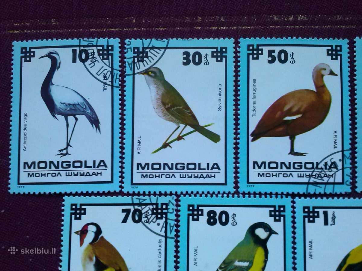 Mangolija.1979m. - nuotraukos Nr. 2