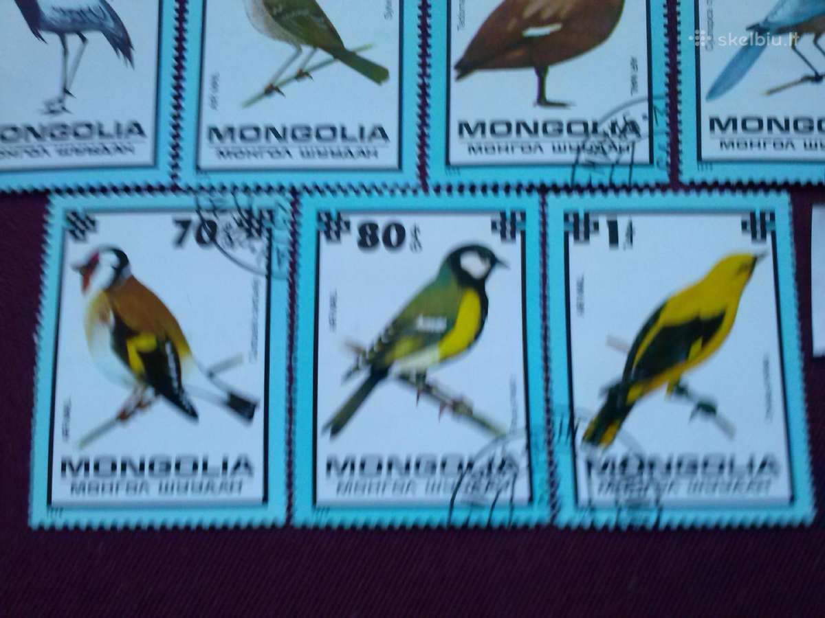 Mangolija.1979m. - nuotraukos Nr. 4