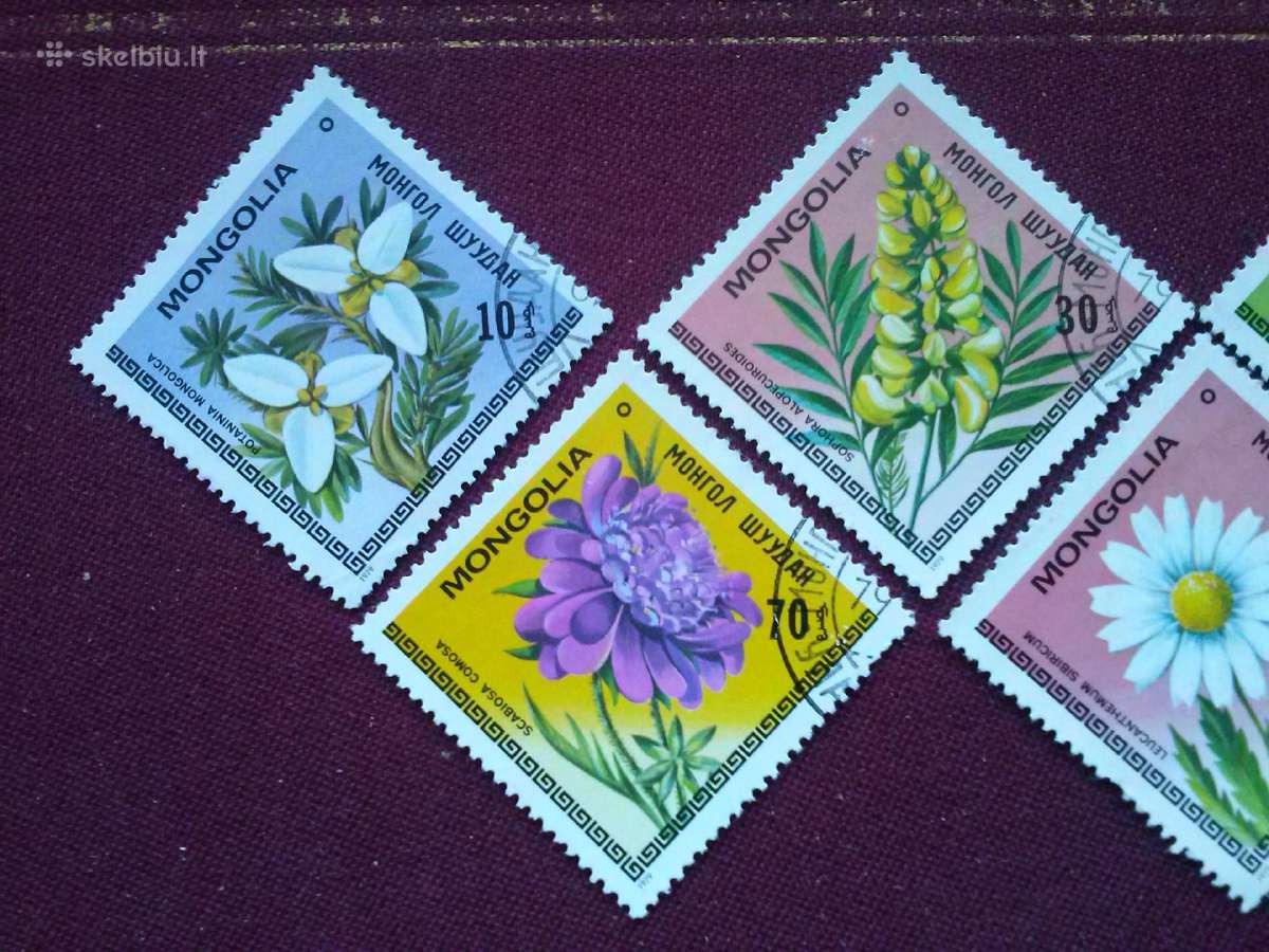 Mangolija.1979m. - nuotraukos Nr. 2