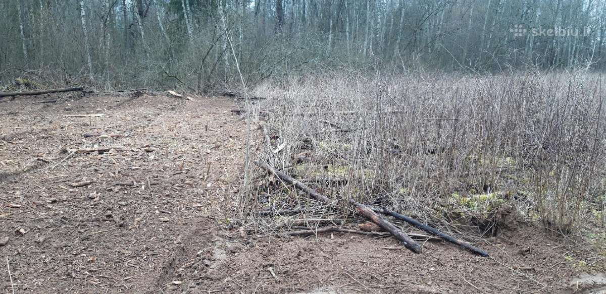 Kelmų frezavimas, apleistų sklypų tvarkymas - nuotraukos Nr. 5