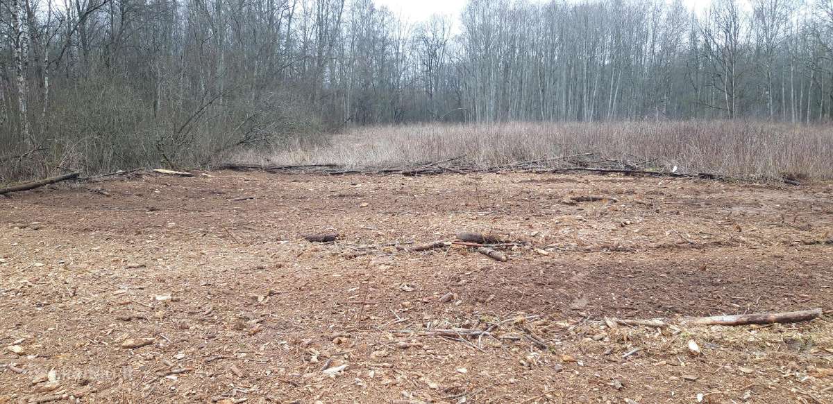 Kelmų frezavimas, apleistų sklypų tvarkymas - nuotraukos Nr. 8
