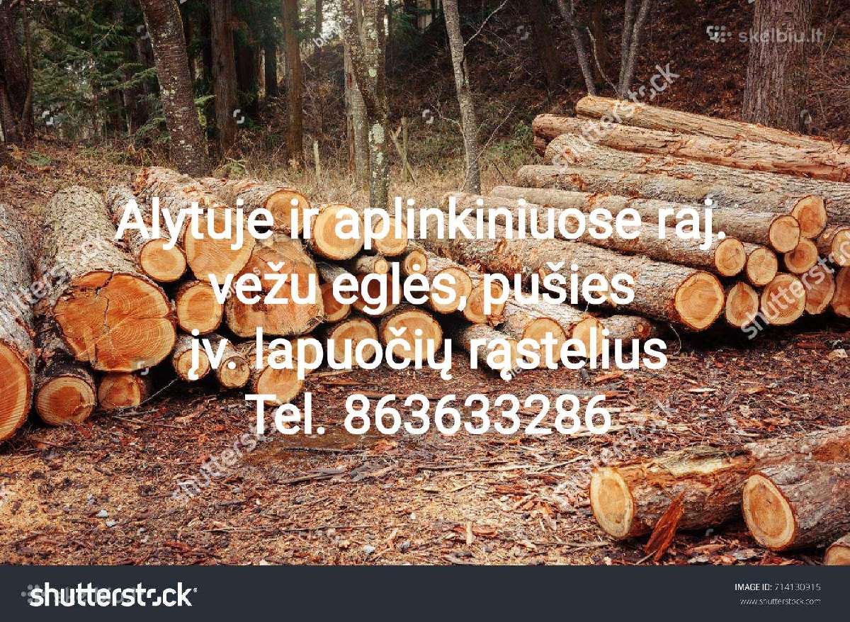 Malkos vežu į Vilnių, Alytų, Kauną, Prienus, Drusk - nuotraukos Nr. 9