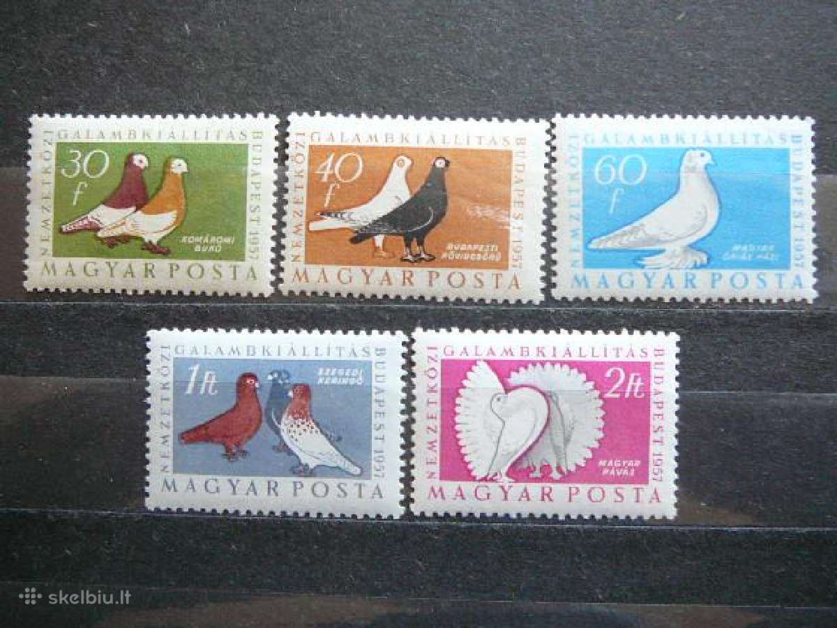 Balandziai Pauksciai Vengrija 1957 Mnh v1505