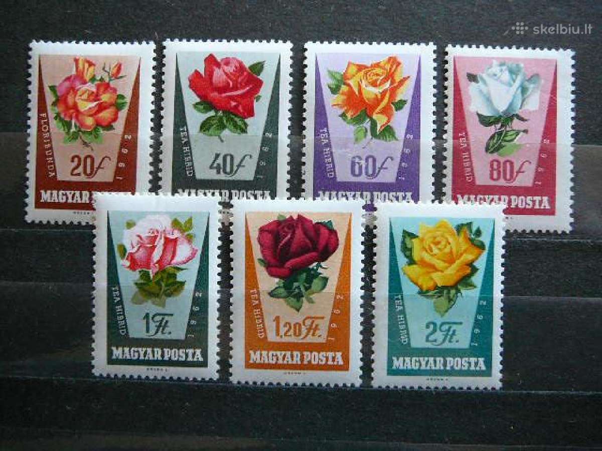 Rozes Geles Vengrija 1962 Mnh v1856
