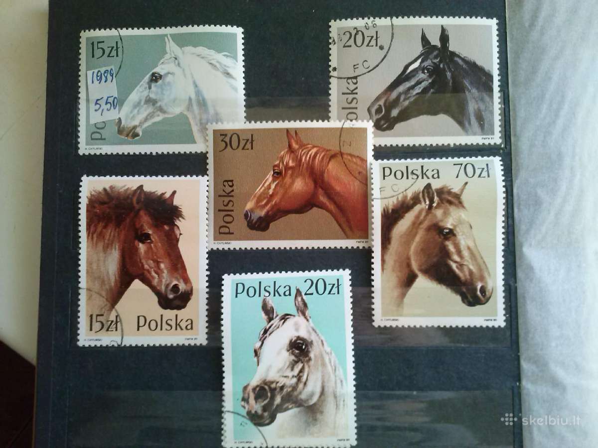 1989m Poliand