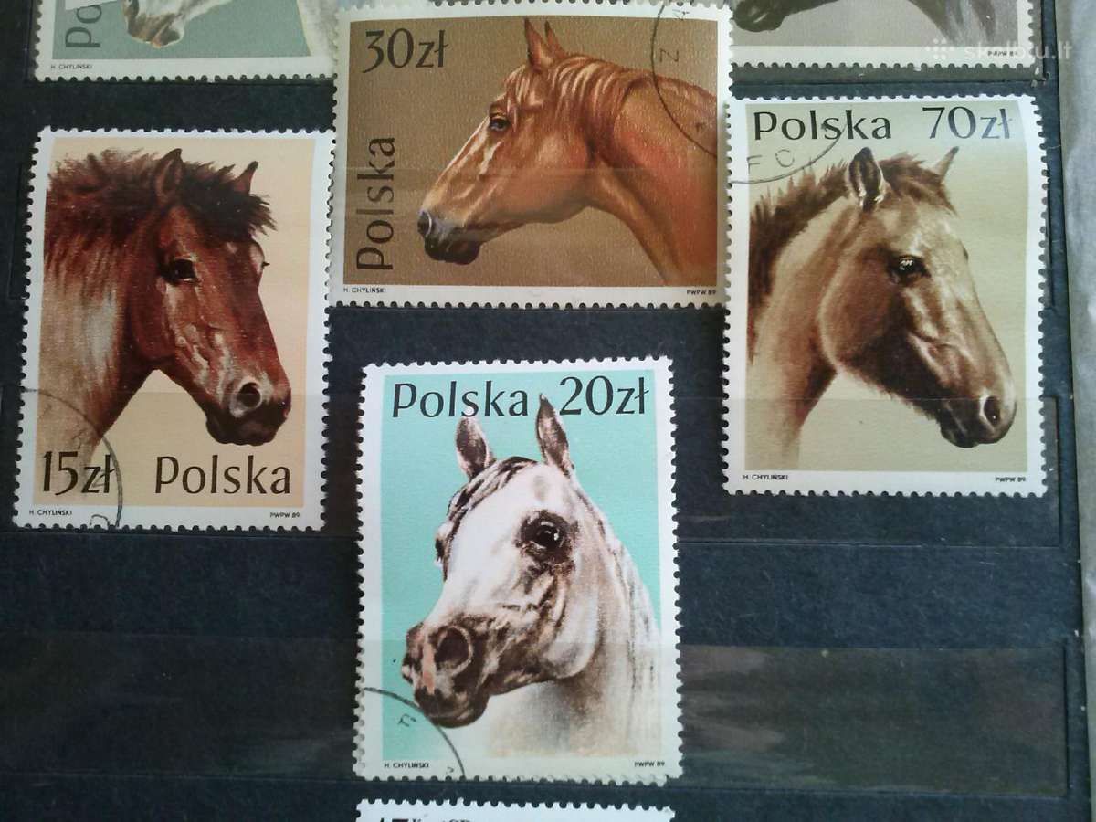 1989m Poliand - nuotraukos Nr. 3