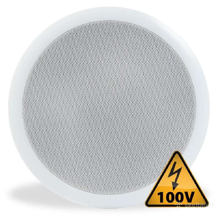 Lubiniai garsiakalbiai Cspb5 100v 5" - nuotraukos Nr. 4