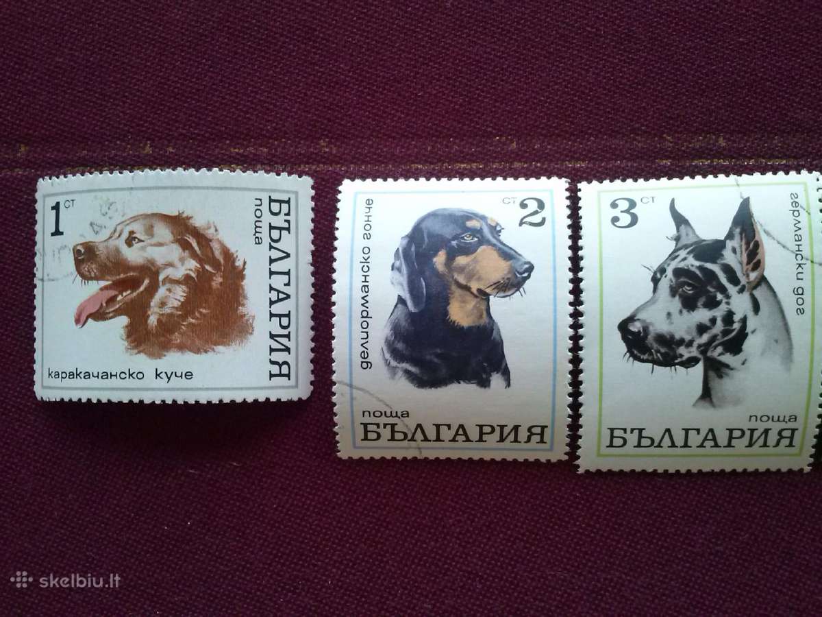 1970m. Bulgarija. - nuotraukos Nr. 2