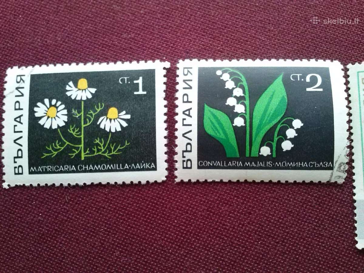 1969 m. Bulgarija. - nuotraukos Nr. 2