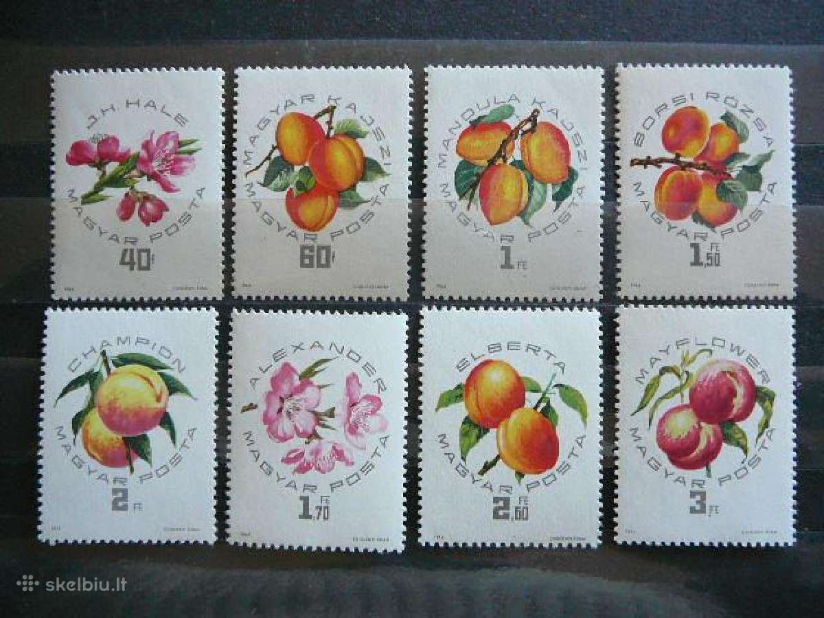 Vaisiai Abrikosai Vengrija 1964 Mnh v2044