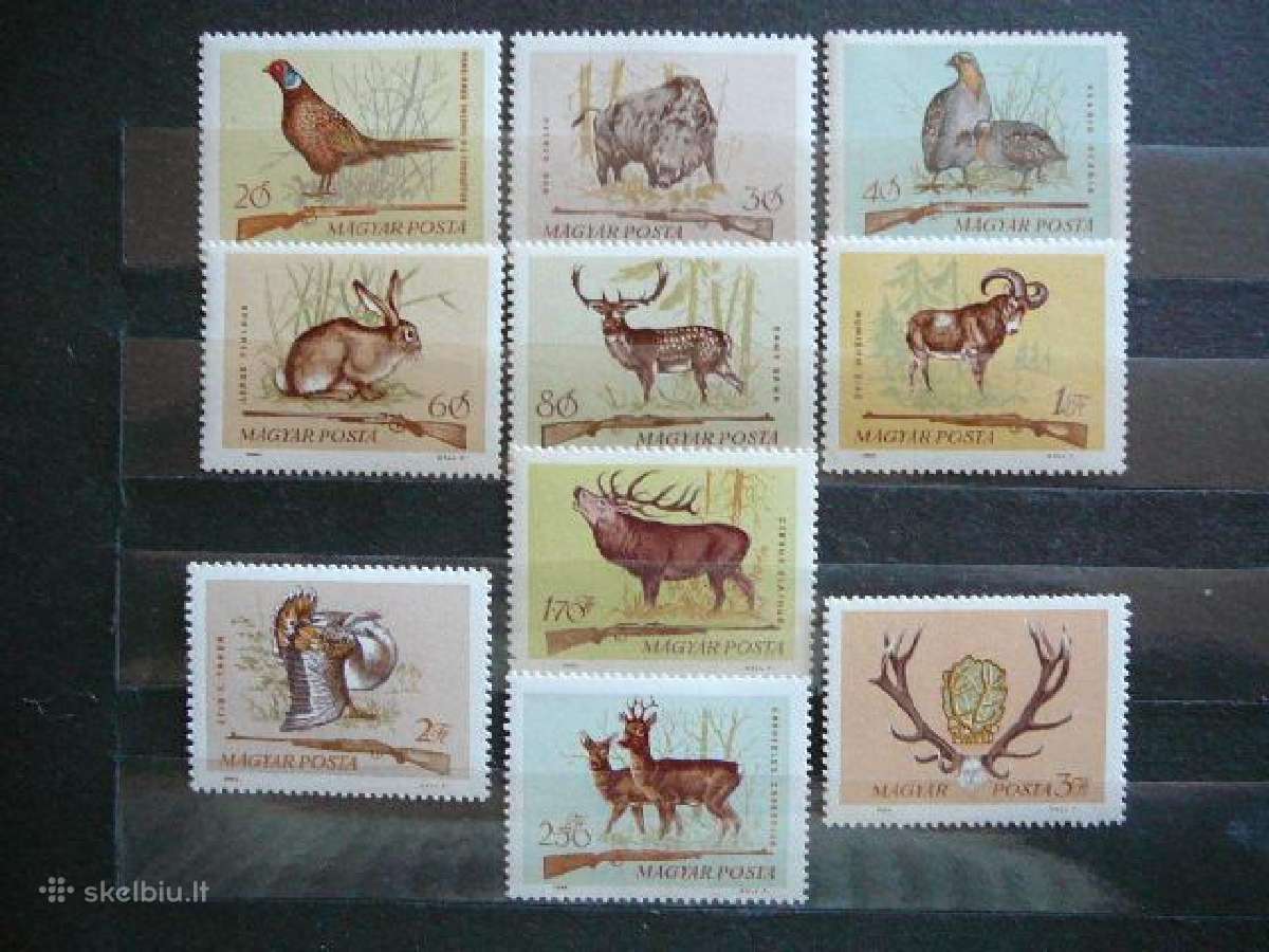 Zverys Pauksciai Vengrija 1964 Mnh v2079