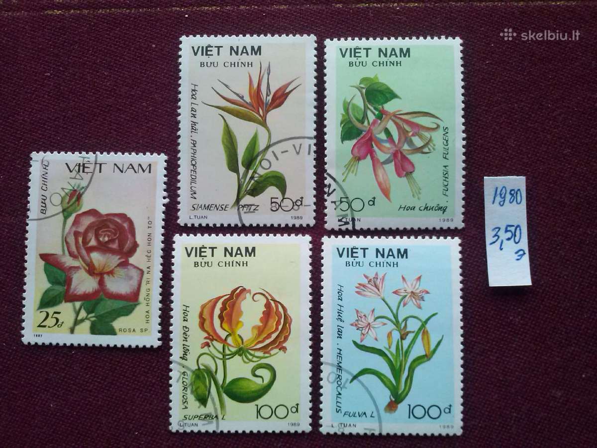 Vietnam 1980 m.