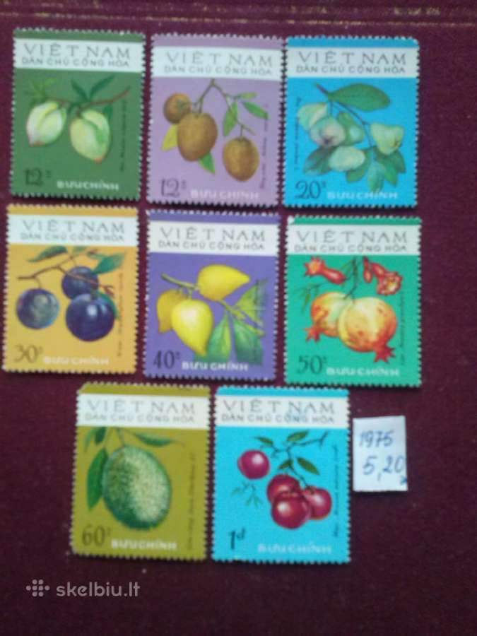 Vietnam 1975 m.