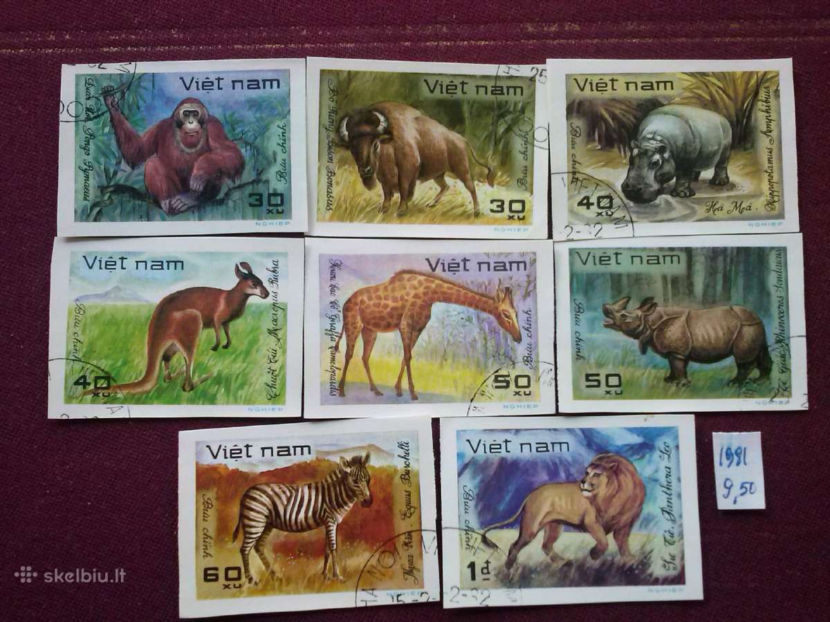 Vietnam 1981 m.