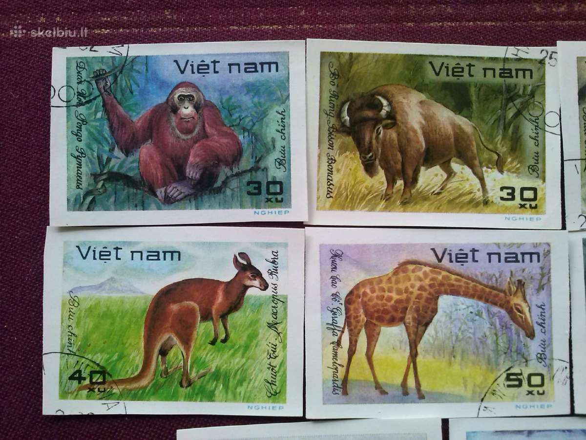 Vietnam 1981 m. - nuotraukos Nr. 2