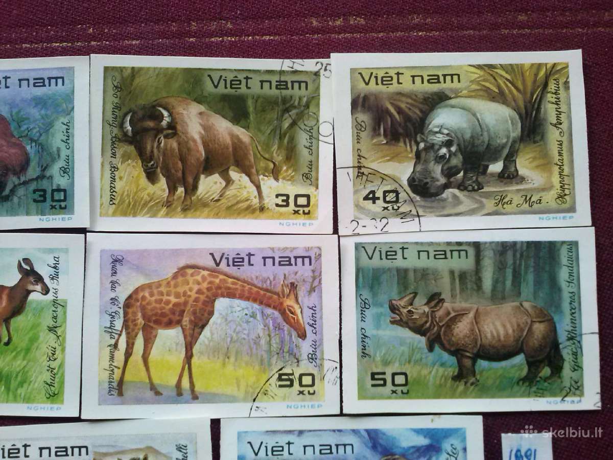 Vietnam 1981 m. - nuotraukos Nr. 3