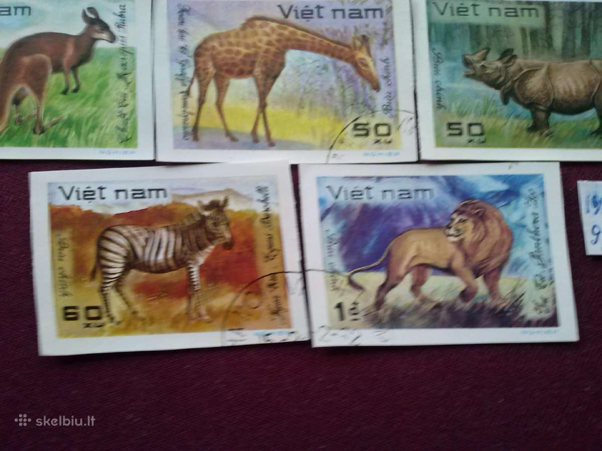Vietnam 1981 m. - nuotraukos Nr. 4