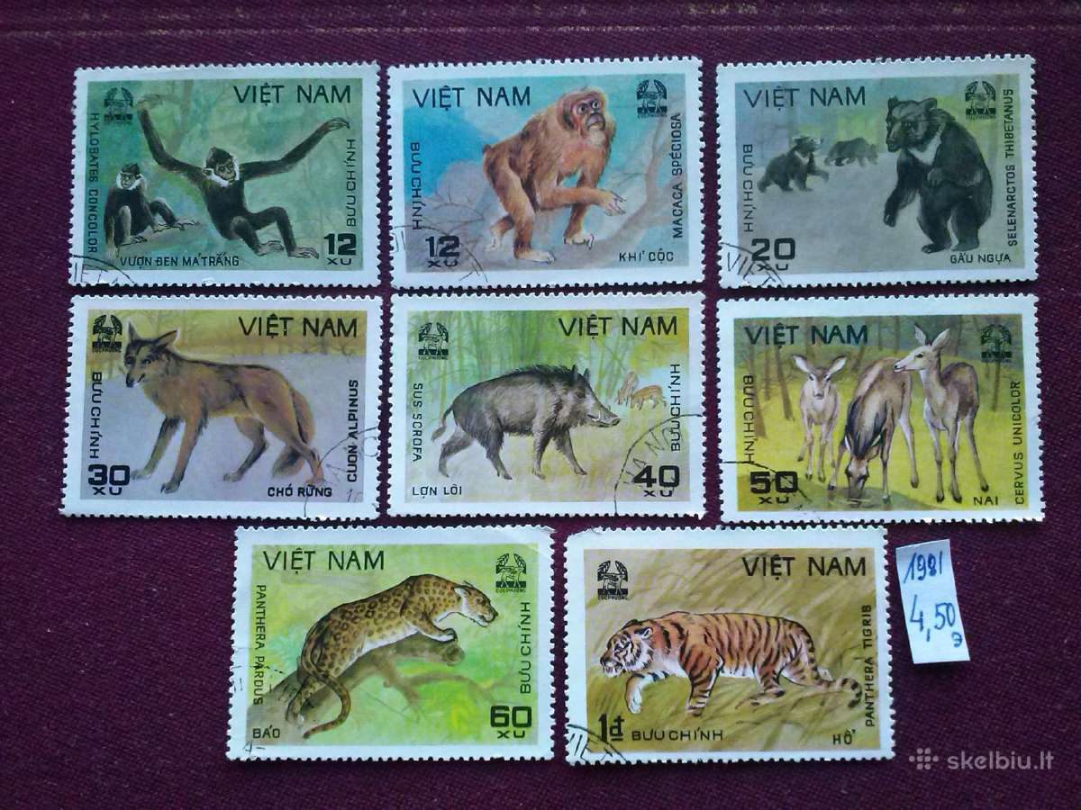 Vietnam 1981 m.