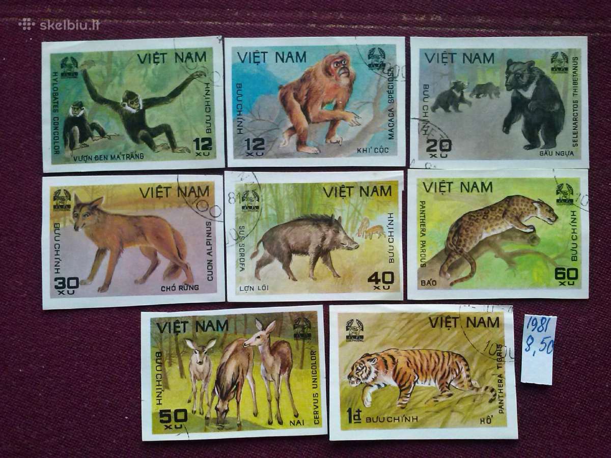 Vietnam 1981 m.