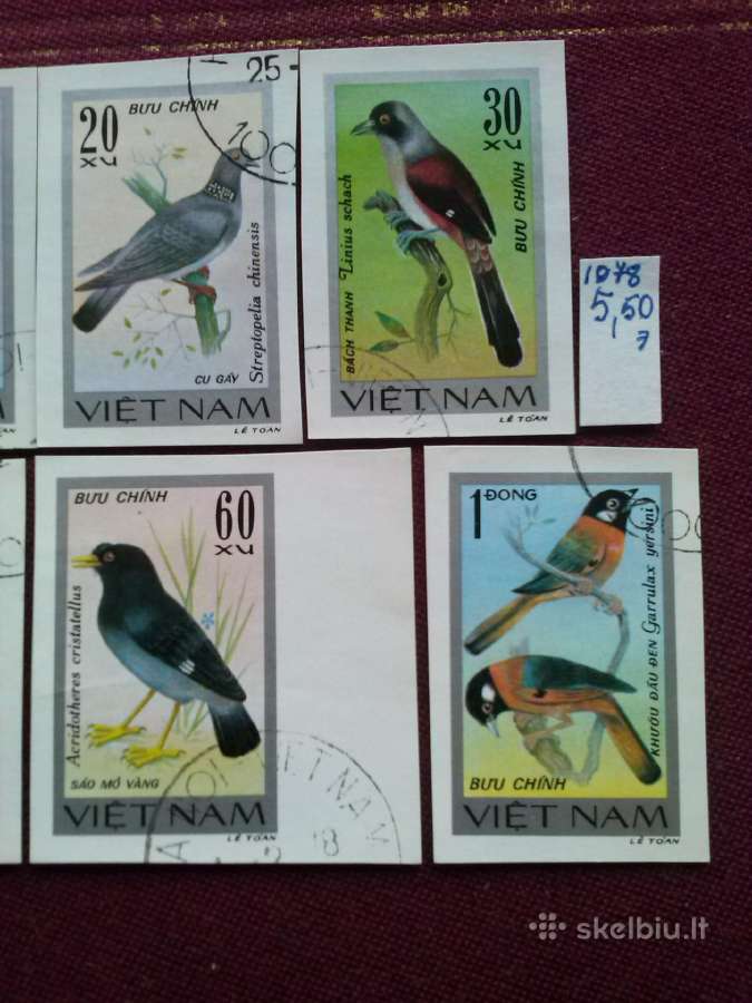 Vietnam 1978 m. - nuotraukos Nr. 3