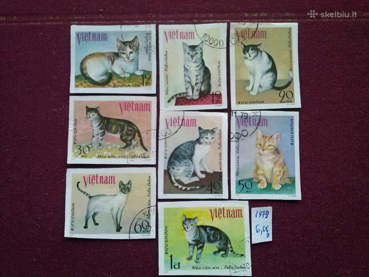 Vietnam 1979 m.