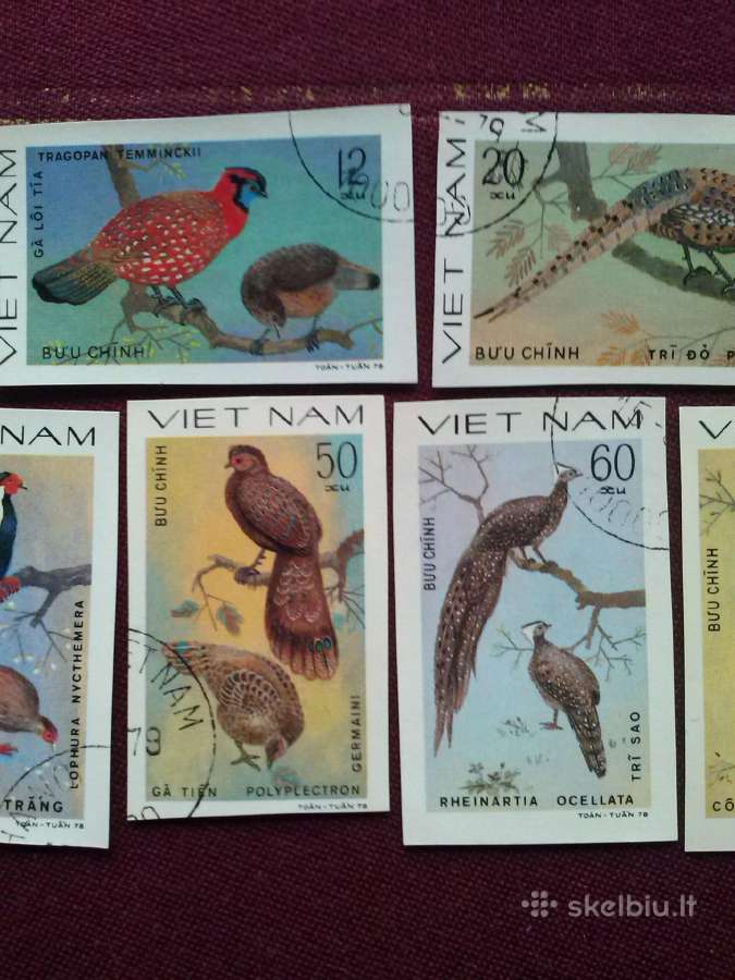Vietnam 1979 m. - nuotraukos Nr. 3