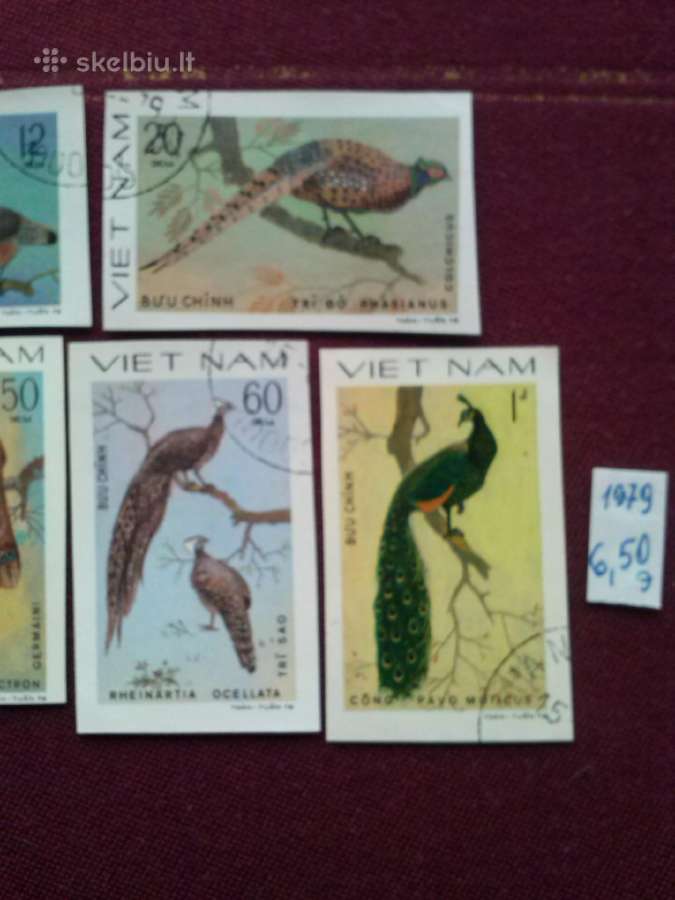 Vietnam 1979 m. - nuotraukos Nr. 4
