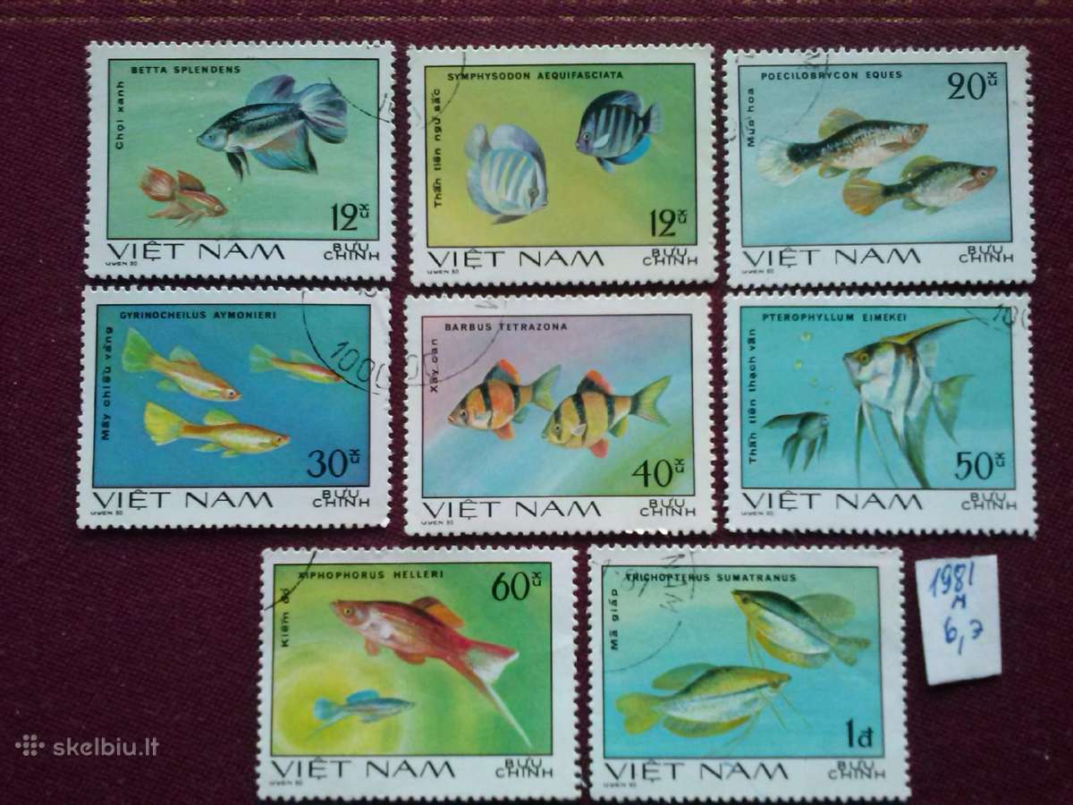 Vietnam 1981m.