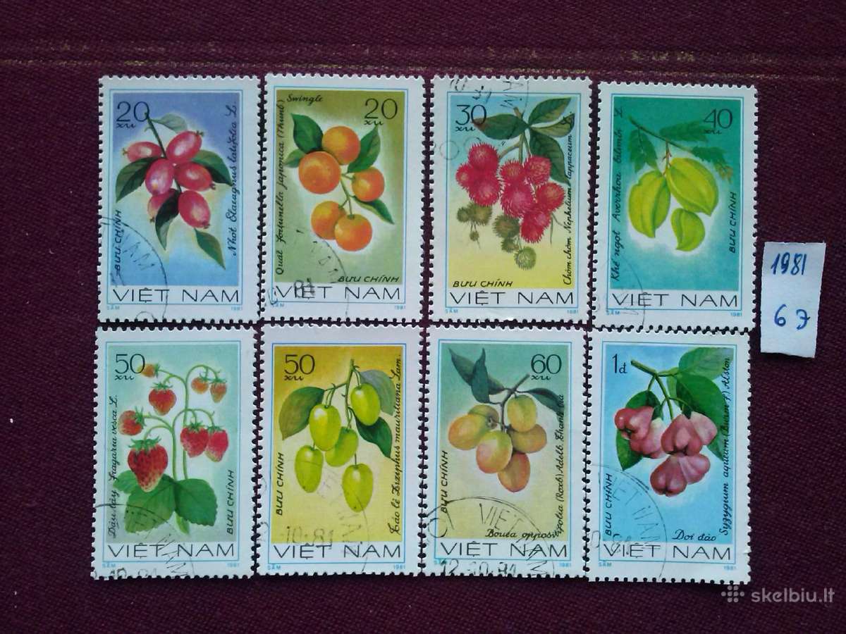 Vietnam 1981m.