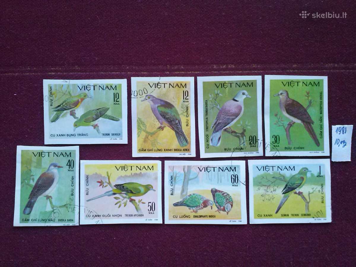 Vietnam 1981m.