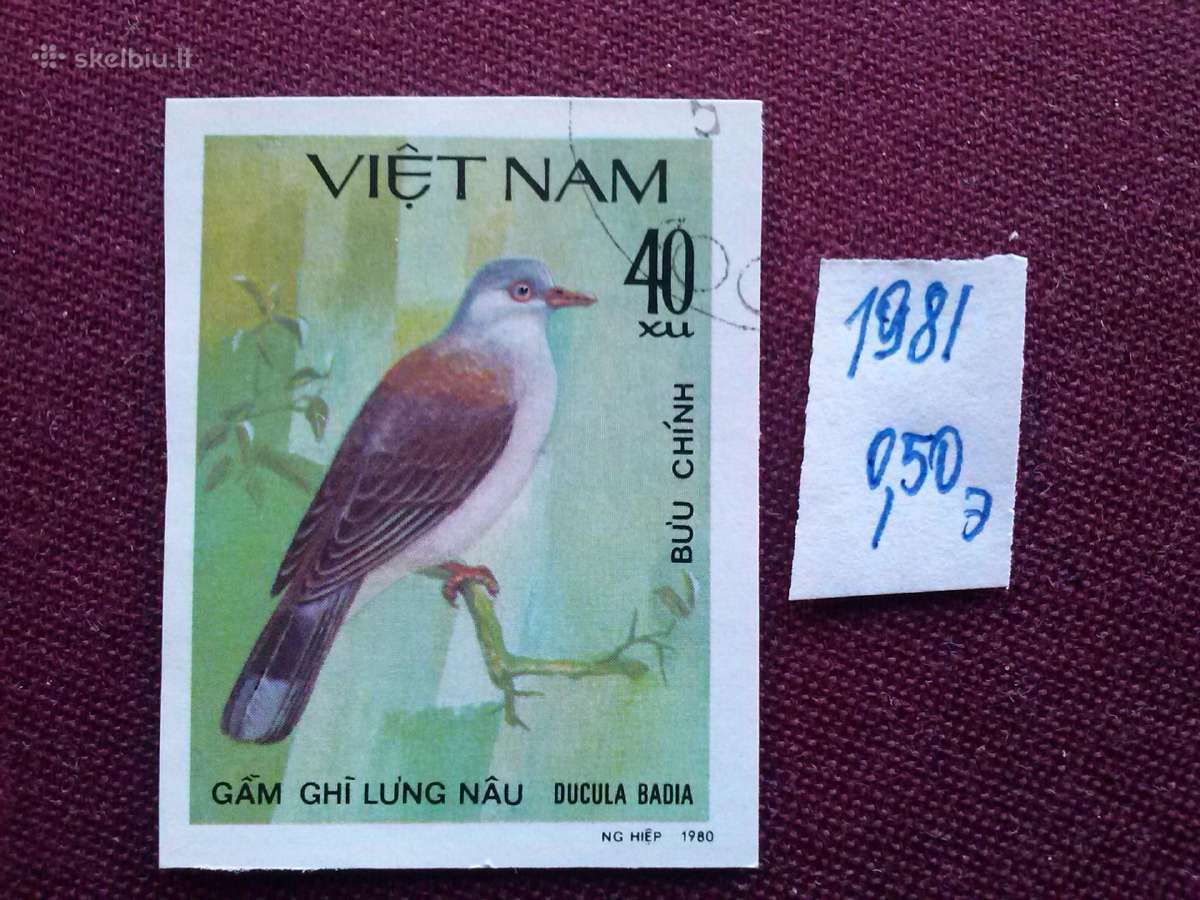 Vietnam 1981m.