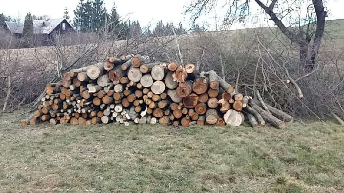 Aplinkos tvarkymo darbai - nuotraukos Nr. 2