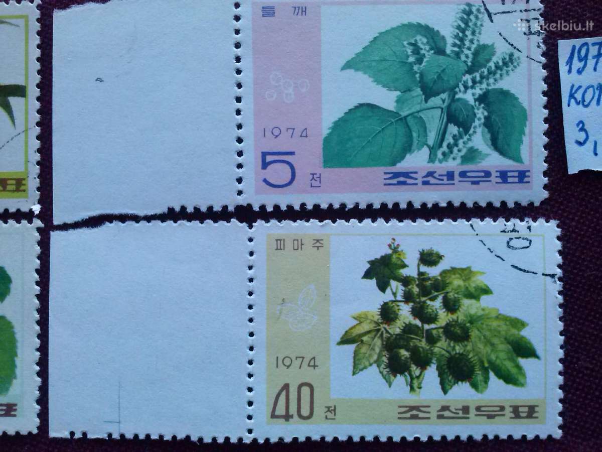 .1974m.korea. - nuotraukos Nr. 3