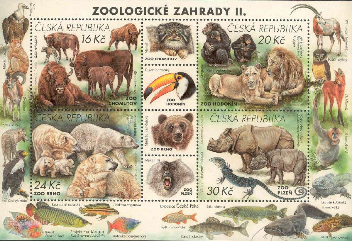 Čekija Zoo 2016-2019 - nuotraukos Nr. 2