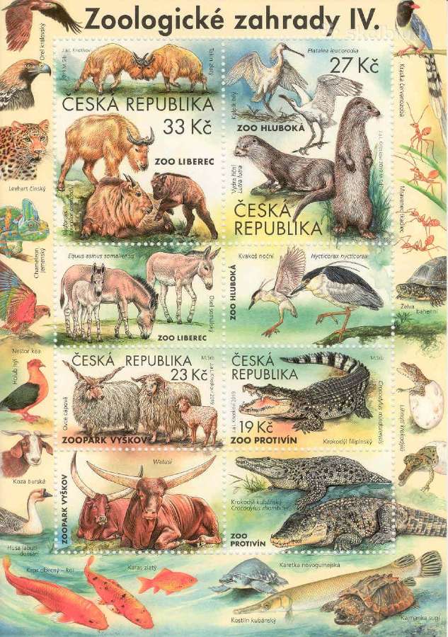 Čekija Zoo 2016-2019 - nuotraukos Nr. 4