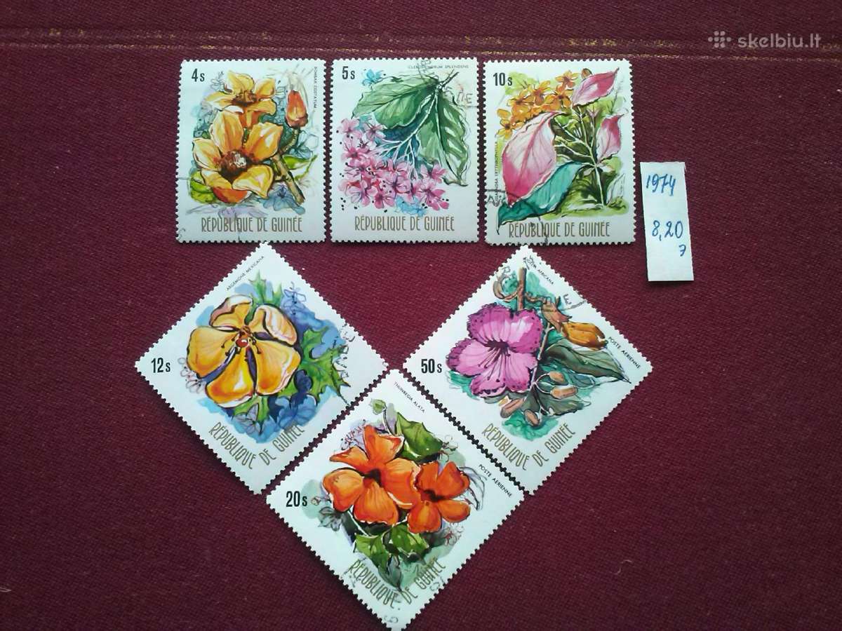 Guinee 1974m.