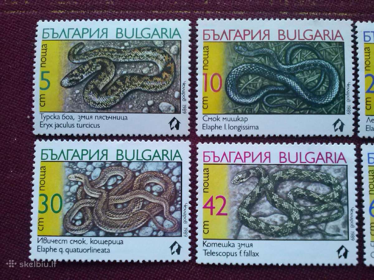 Bulgaria 1989m. - nuotraukos Nr. 2