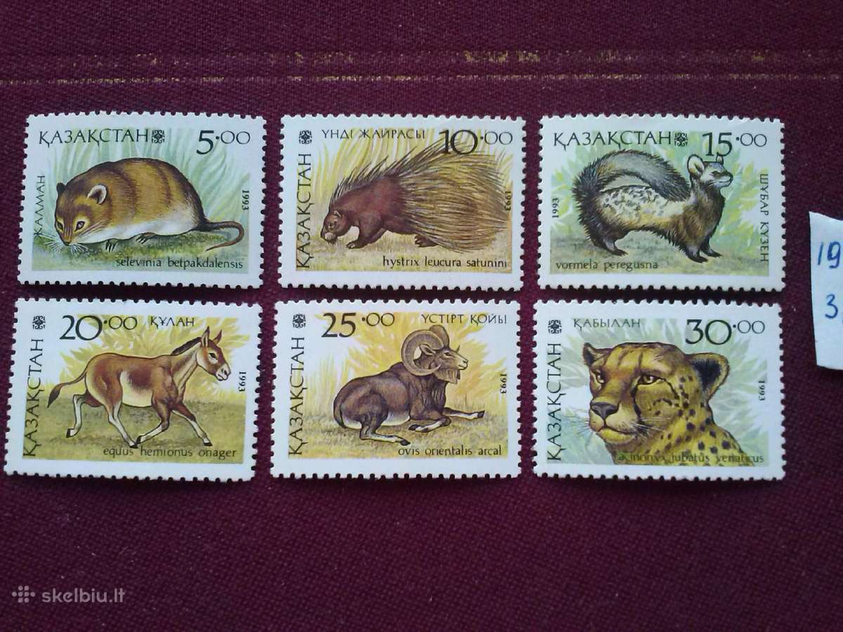 Kazakstan 1993m.