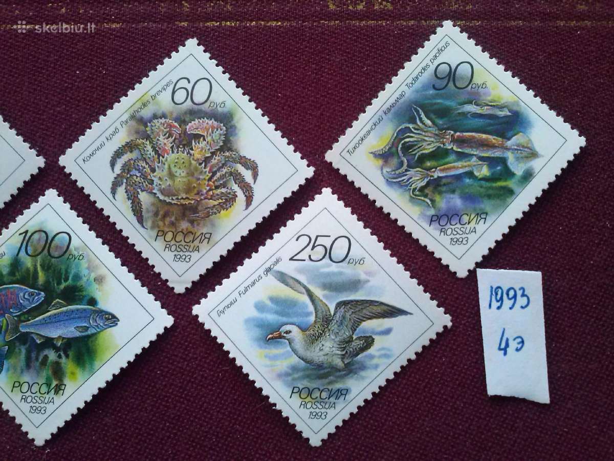 Rusija 1993m. - nuotraukos Nr. 3