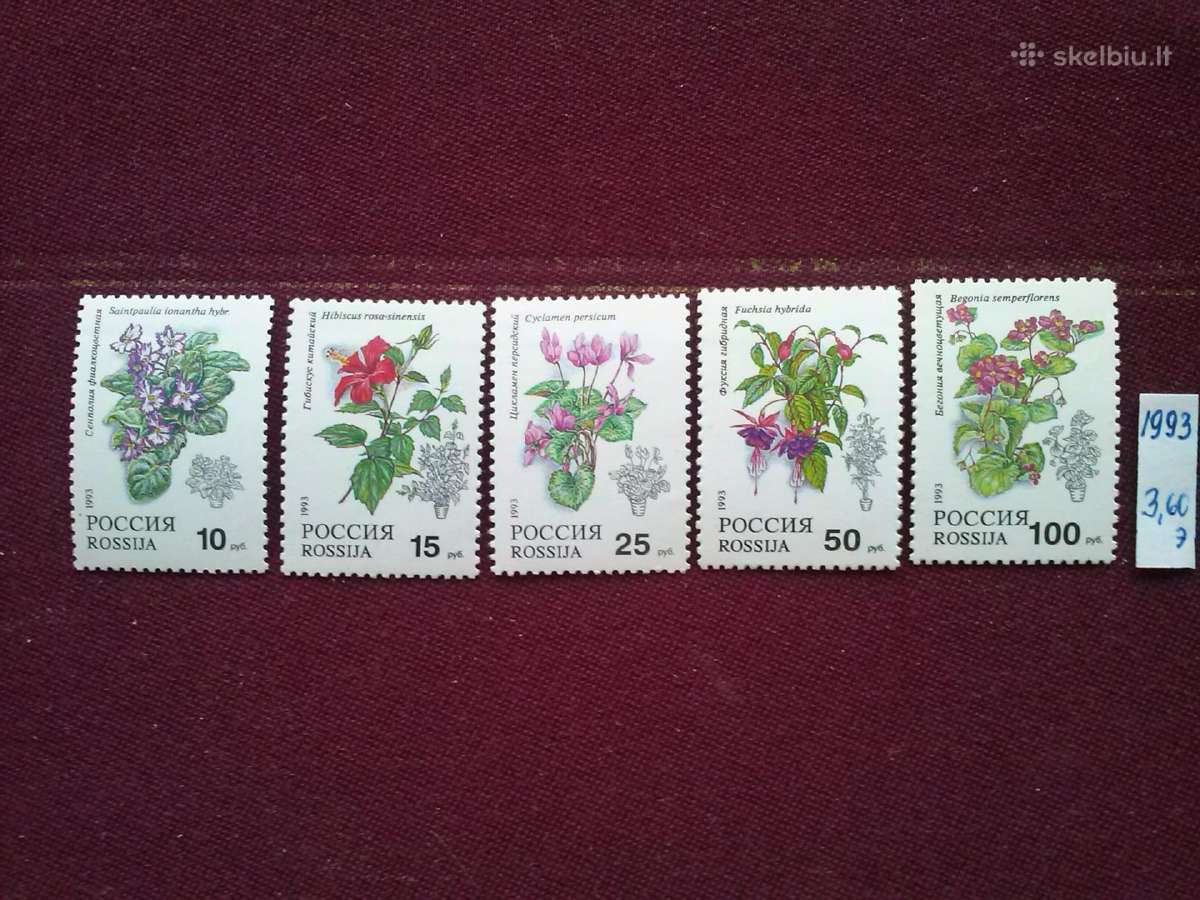 Rusija 1993m.