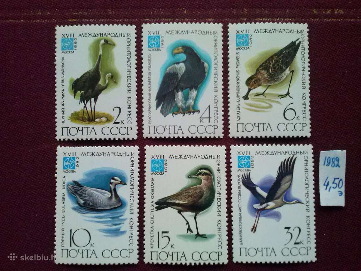 1982m.ccccCCCP.